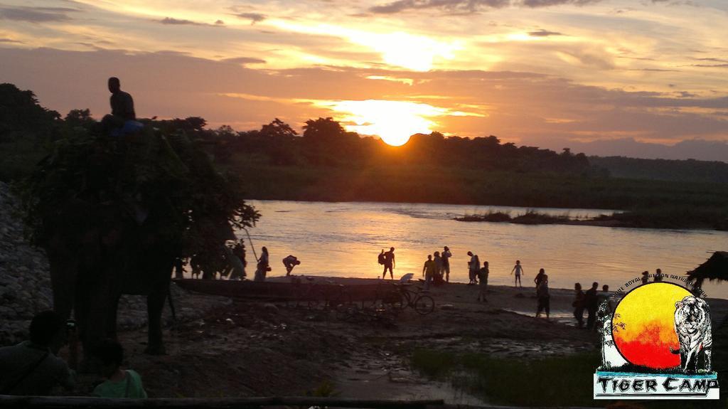 Chitwan Tiger Camp Otel Sauraha Dış mekan fotoğraf