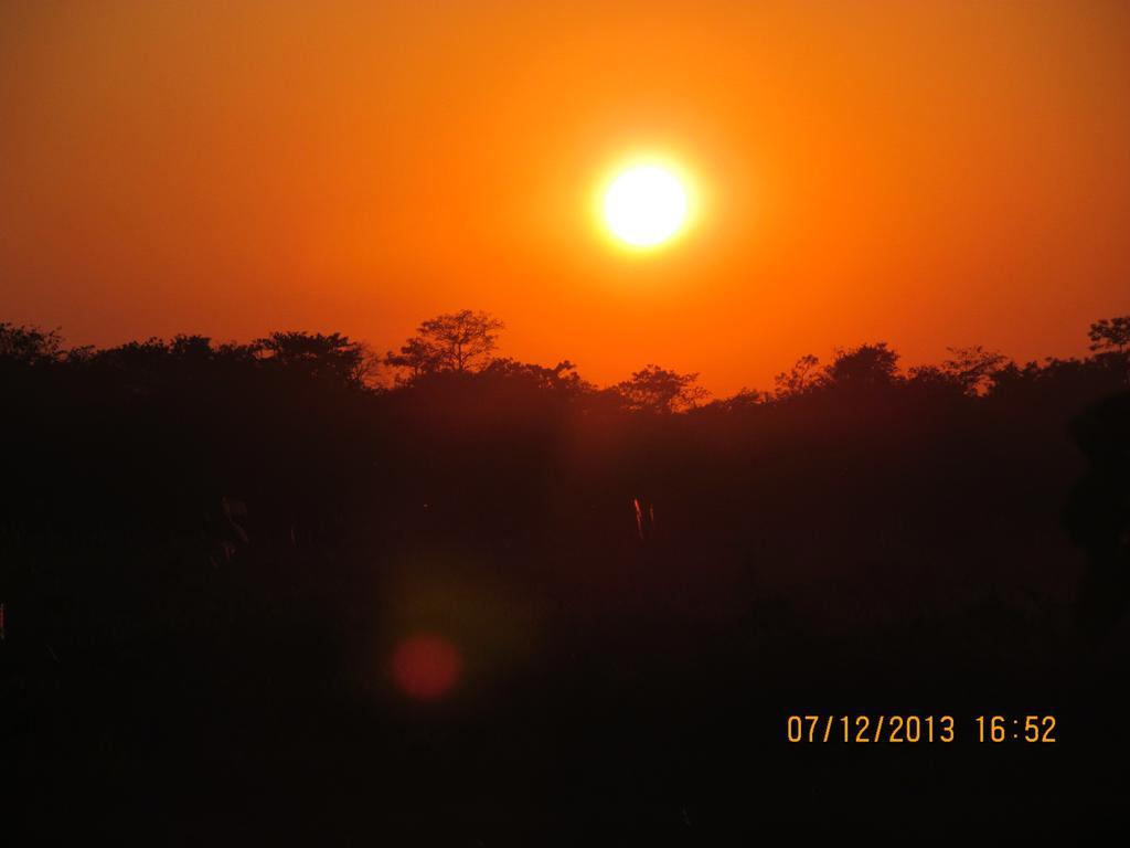 Chitwan Tiger Camp Otel Sauraha Dış mekan fotoğraf