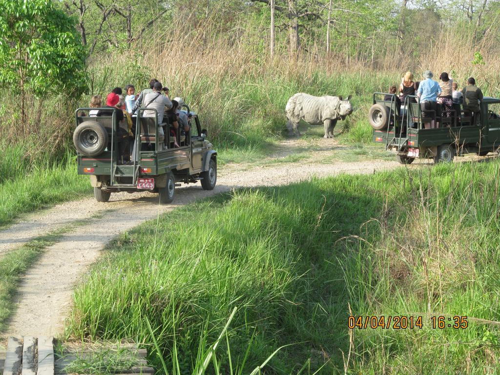 Chitwan Tiger Camp Otel Sauraha Dış mekan fotoğraf